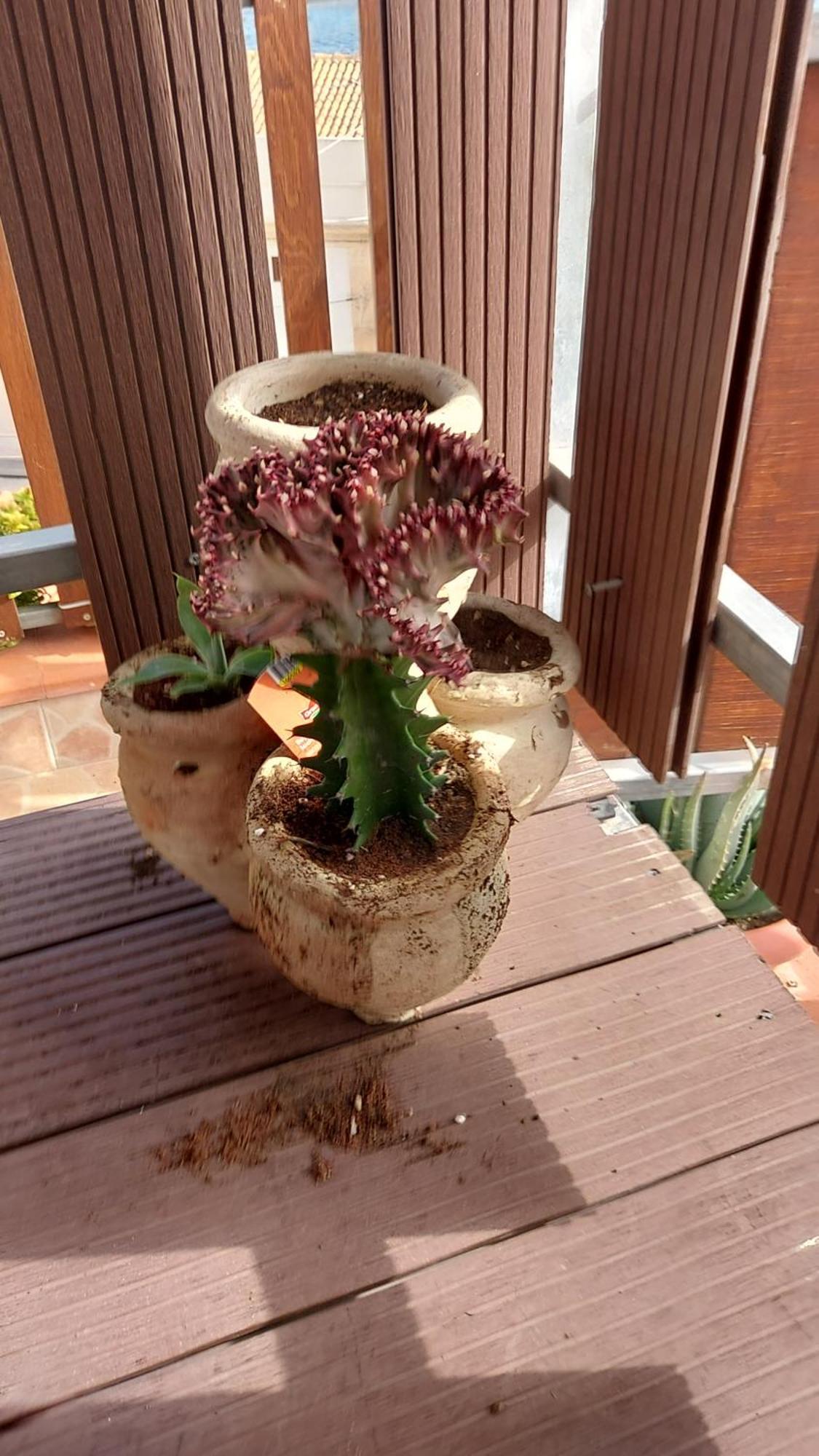 Casavistamare Villa Augusta Luaran gambar